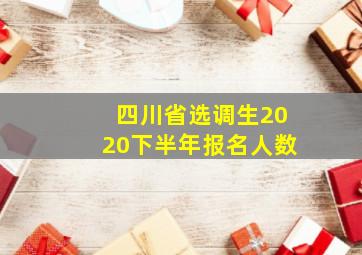 四川省选调生2020下半年报名人数