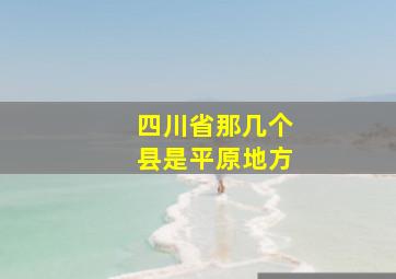 四川省那几个县是平原地方