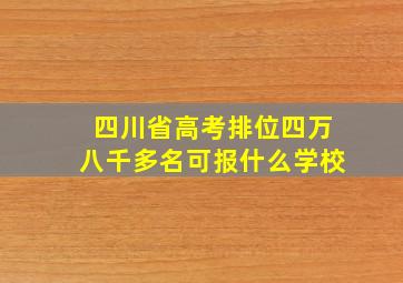 四川省高考排位四万八千多名可报什么学校