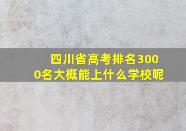 四川省高考排名3000名大概能上什么学校呢