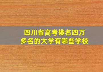 四川省高考排名四万多名的大学有哪些学校