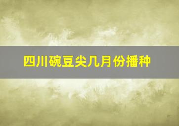 四川碗豆尖几月份播种