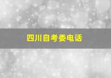 四川自考委电话