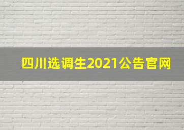 四川选调生2021公告官网