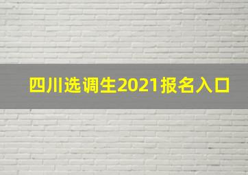 四川选调生2021报名入口