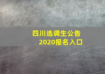 四川选调生公告2020报名入口