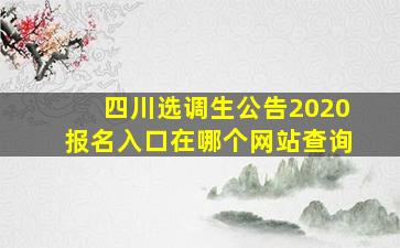 四川选调生公告2020报名入口在哪个网站查询