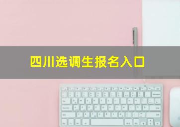 四川选调生报名入口