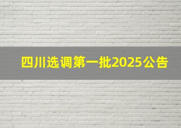 四川选调第一批2025公告