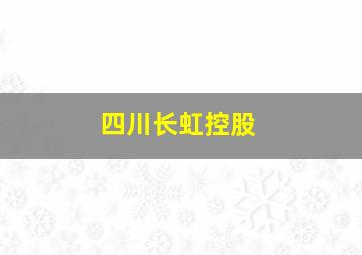 四川长虹控股