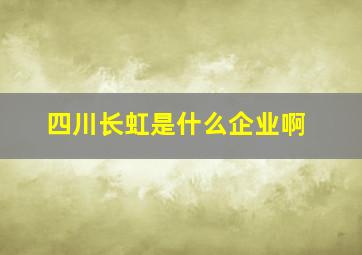 四川长虹是什么企业啊