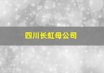 四川长虹母公司