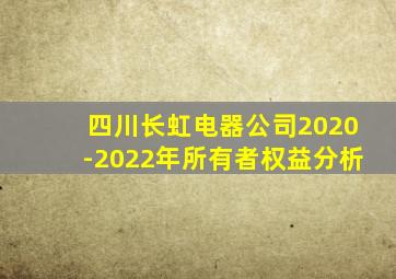 四川长虹电器公司2020-2022年所有者权益分析