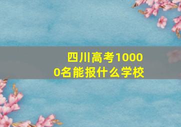 四川高考10000名能报什么学校