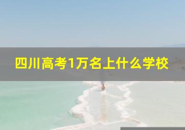 四川高考1万名上什么学校