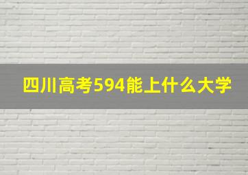 四川高考594能上什么大学