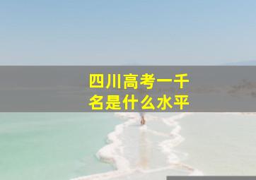 四川高考一千名是什么水平