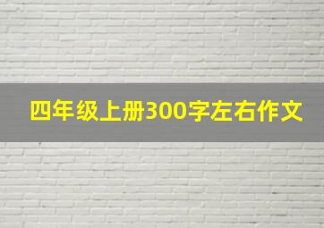 四年级上册300字左右作文