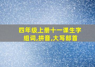 四年级上册十一课生字组词,拼音,大写部首