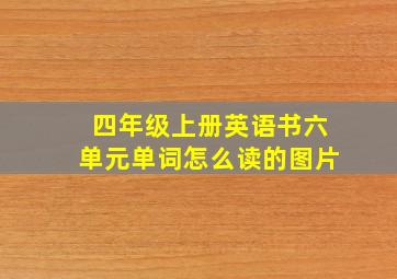 四年级上册英语书六单元单词怎么读的图片