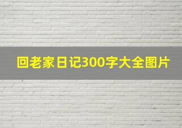 回老家日记300字大全图片