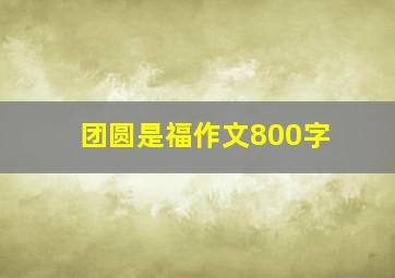 团圆是福作文800字