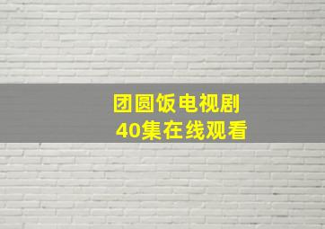 团圆饭电视剧40集在线观看