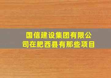 国信建设集团有限公司在肥西县有那些项目