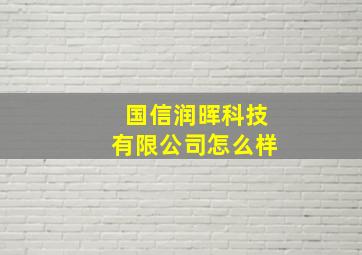 国信润晖科技有限公司怎么样