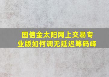 国信金太阳网上交易专业版如何调无延迟筹码峰