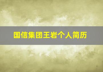 国信集团王岩个人简历