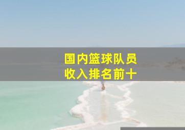 国内篮球队员收入排名前十