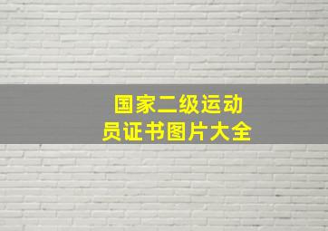 国家二级运动员证书图片大全