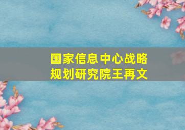 国家信息中心战略规划研究院王再文