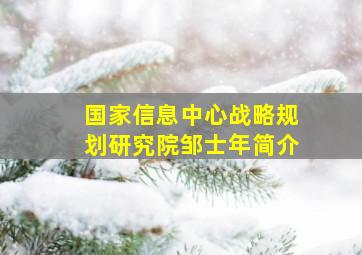 国家信息中心战略规划研究院邹士年简介