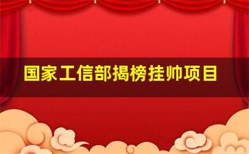 国家工信部揭榜挂帅项目