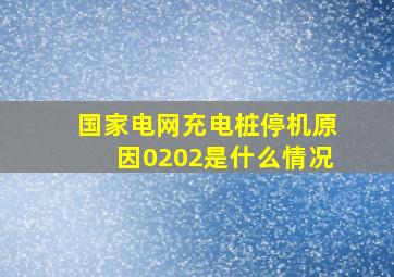 国家电网充电桩停机原因0202是什么情况