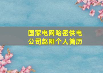 国家电网哈密供电公司赵刚个人简历