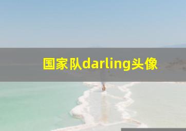 国家队darling头像