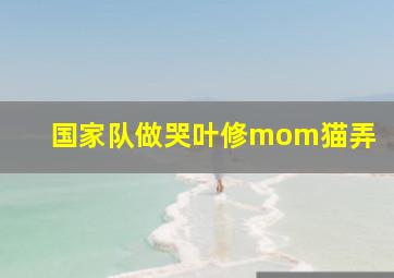 国家队做哭叶修mom猫弄