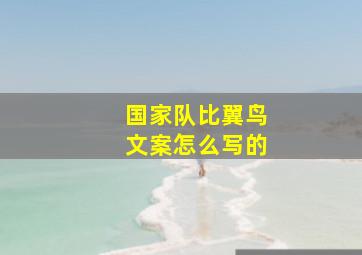 国家队比翼鸟文案怎么写的