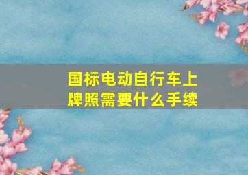 国标电动自行车上牌照需要什么手续