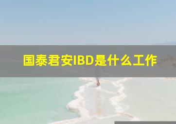 国泰君安IBD是什么工作