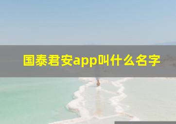 国泰君安app叫什么名字