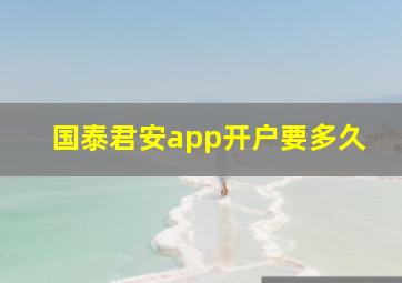 国泰君安app开户要多久