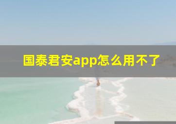 国泰君安app怎么用不了