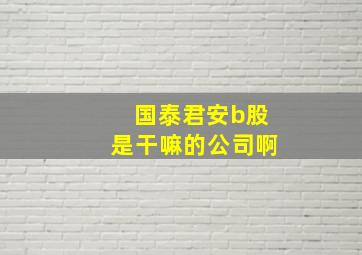 国泰君安b股是干嘛的公司啊