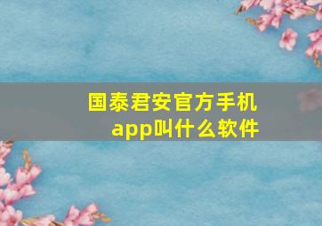 国泰君安官方手机app叫什么软件