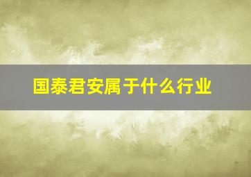 国泰君安属于什么行业