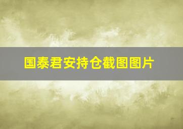 国泰君安持仓截图图片